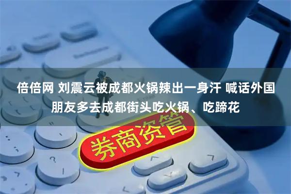 倍倍网 刘震云被成都火锅辣出一身汗 喊话外国朋友多去成都街头吃火锅、吃蹄花