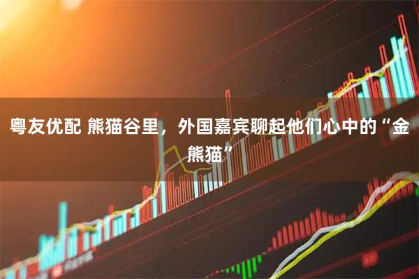 粤友优配 熊猫谷里，外国嘉宾聊起他们心中的“金熊猫”