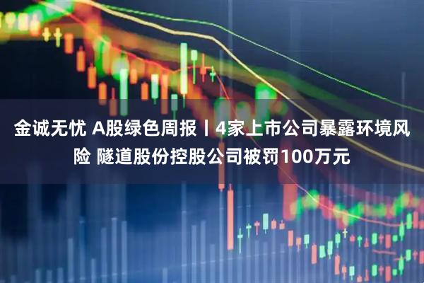 金诚无忧 A股绿色周报丨4家上市公司暴露环境风险 隧道股份控股公司被罚100万元