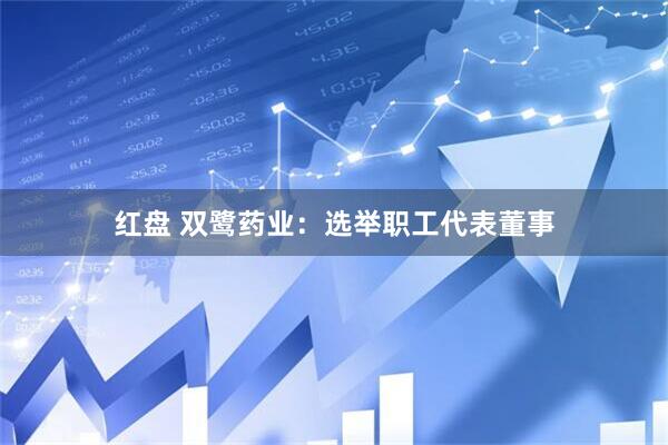 红盘 双鹭药业：选举职工代表董事